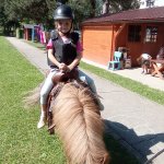 phoca_thumb_m_ponk 46 Fotogalerie